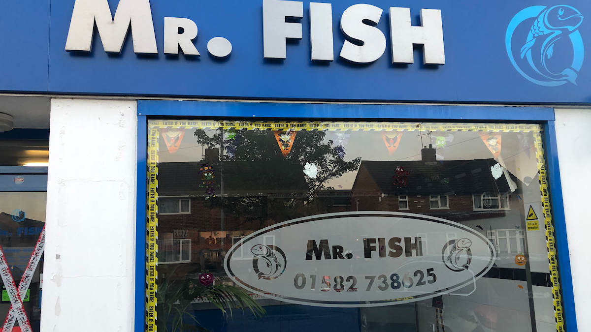Mr Fish